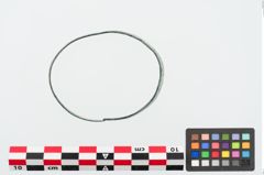 Foto von Bronzearmreif (NHMW-PRAE-024843)